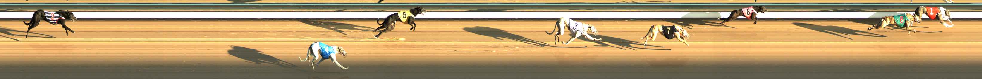Photo finish for The Meadows Race 2