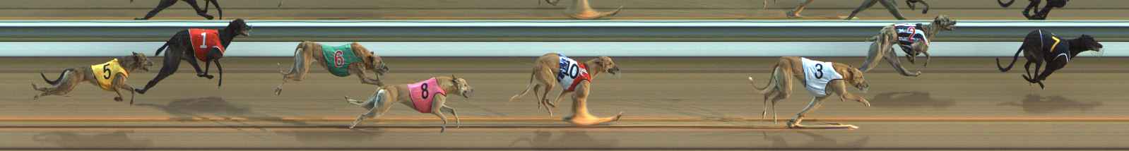 Photo finish for The Meadows Race 3