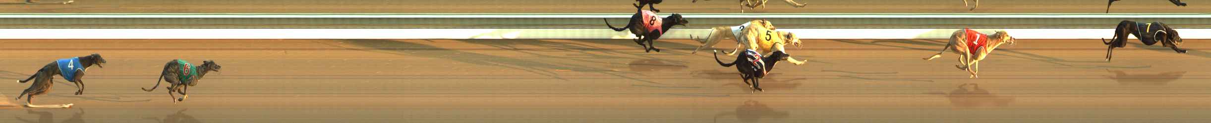 Photo finish for The Meadows Race 4