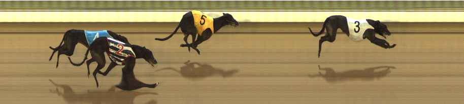 Photo finish for The Meadows Race 5