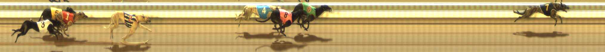 Photo finish for The Meadows Race 6