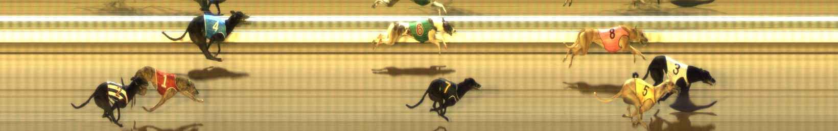 Photo finish for The Meadows Race 7