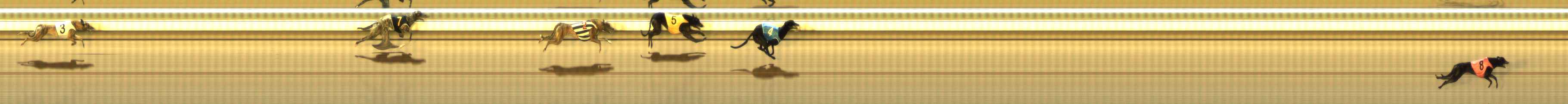 Photo finish for The Meadows Race 9