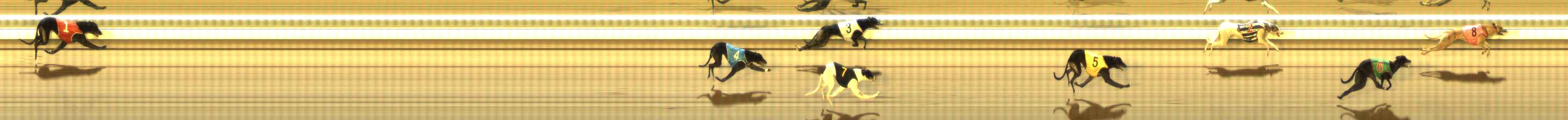 Photo finish for The Meadows Race 10
