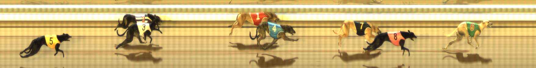 Photo finish for The Meadows Race 11