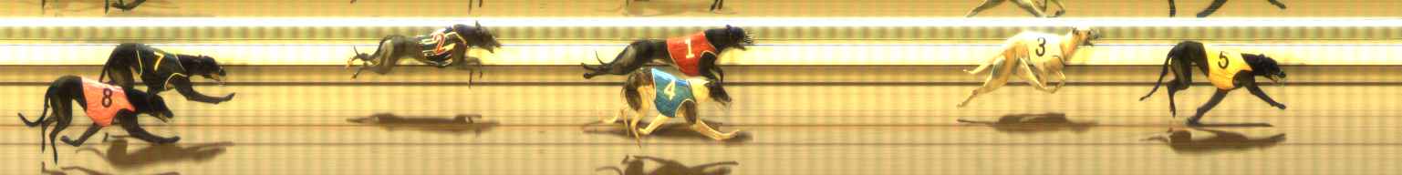Photo finish for The Meadows Race 12