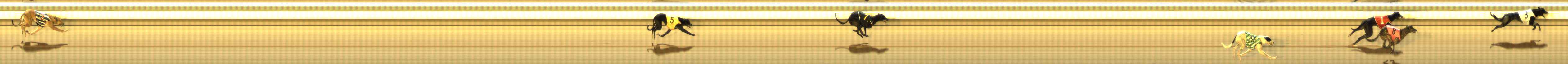 Photo finish for The Meadows Race 8