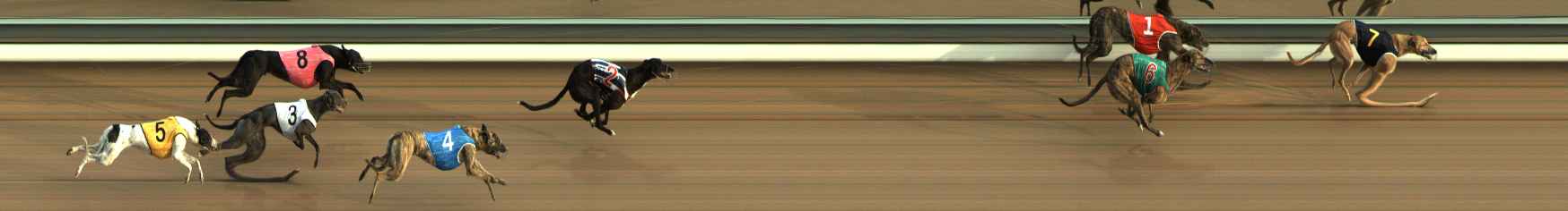 Photo finish for The Meadows Race 1