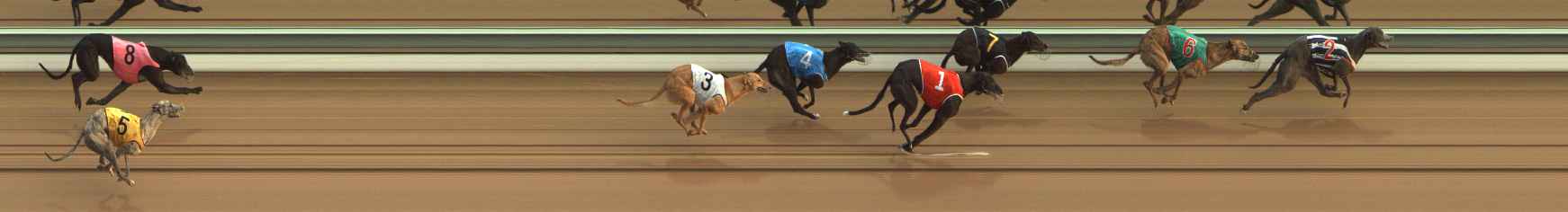 Photo finish for The Meadows Race 2