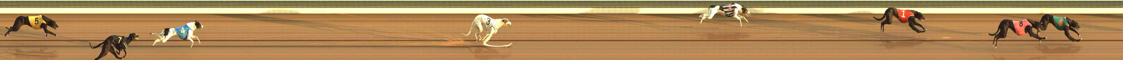 Photo finish for The Meadows Race 3