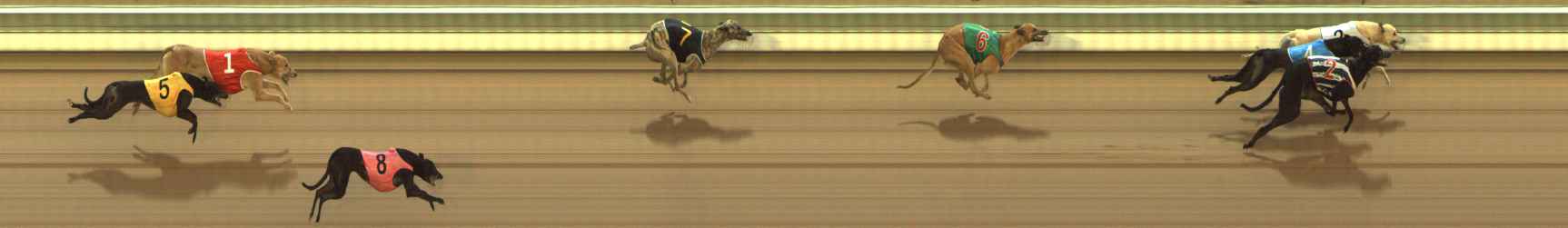 Photo finish for The Meadows Race 4