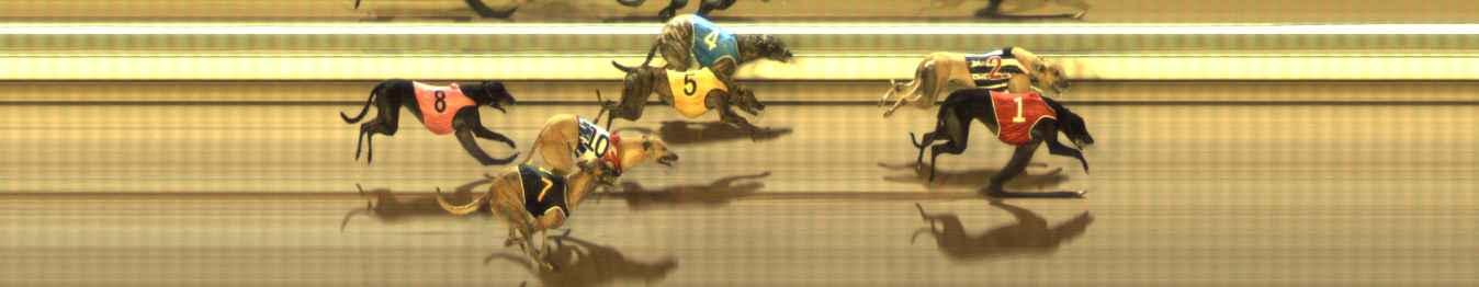 Photo finish for The Meadows Race 5
