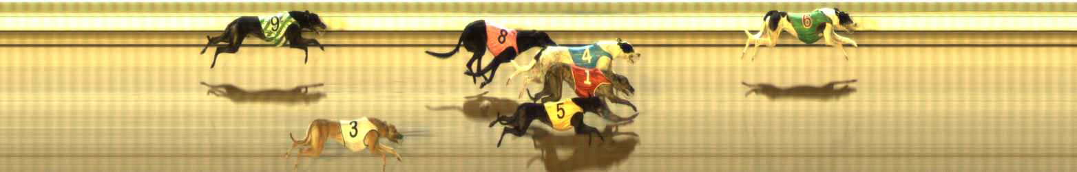 Photo finish for The Meadows Race 6