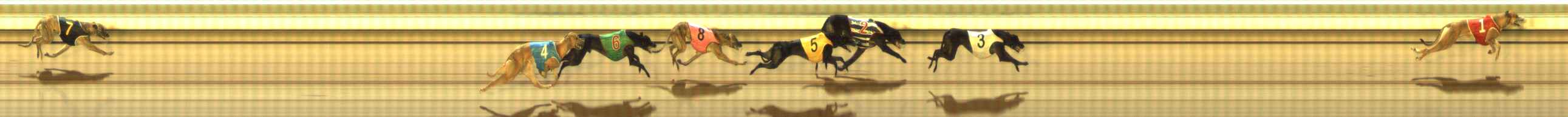 Photo finish for The Meadows Race 7