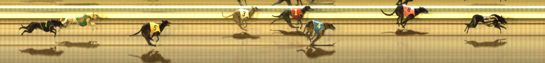 Photo finish for The Meadows Race 8