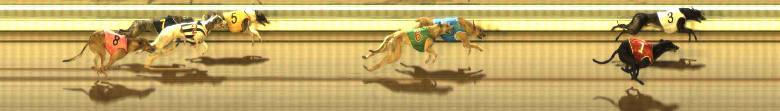 Photo finish for The Meadows Race 10