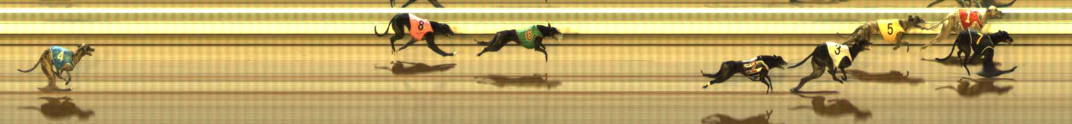 Photo finish for The Meadows Race 11