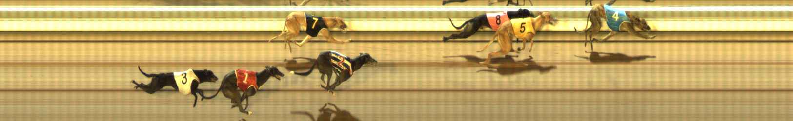 Photo finish for The Meadows Race 12