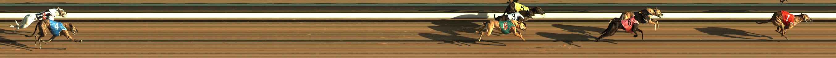 Photo finish for The Meadows Race 1