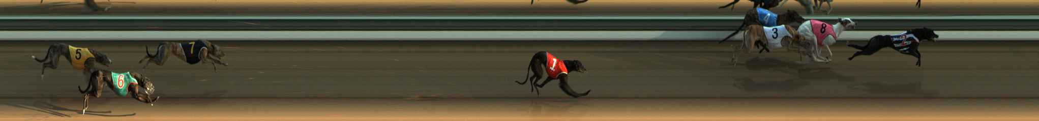 Photo finish for The Meadows Race 2