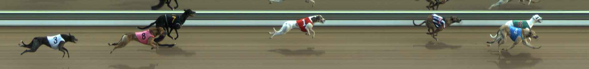 Photo finish for The Meadows Race 3