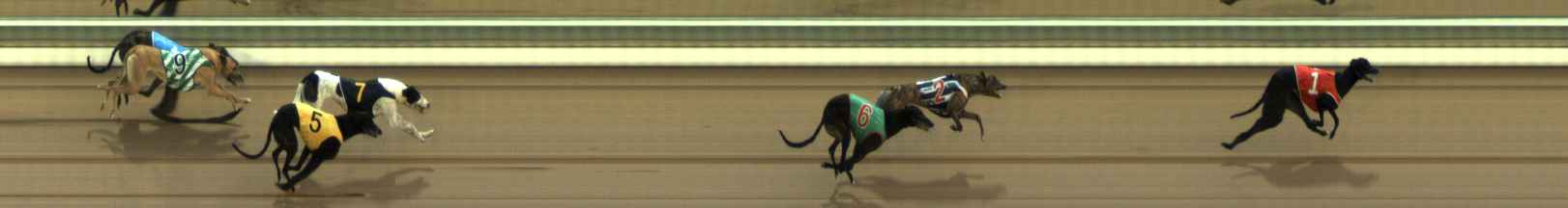 Photo finish for The Meadows Race 4