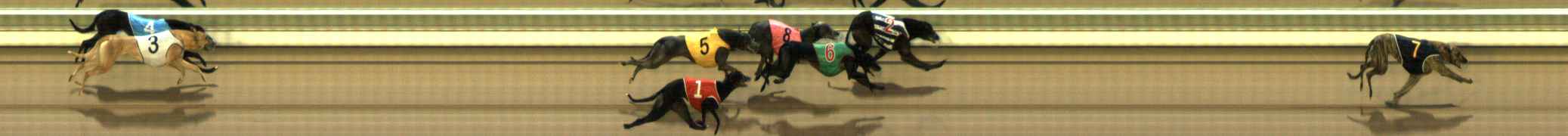 Photo finish for The Meadows Race 5