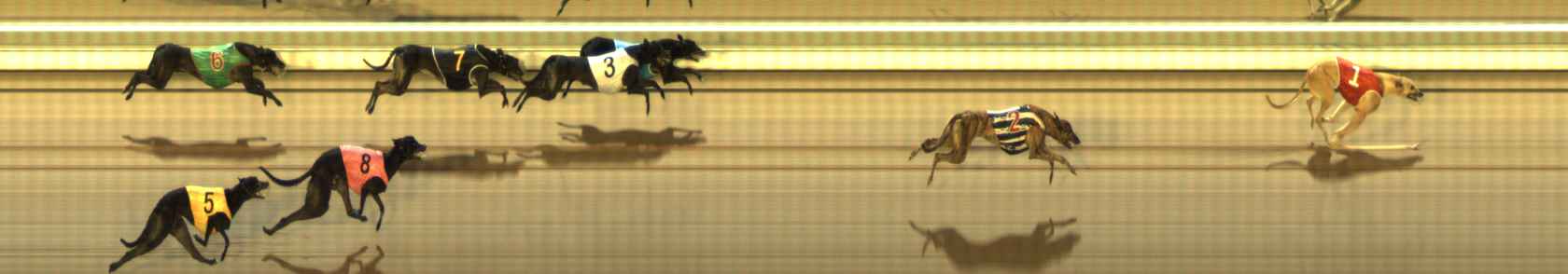 Photo finish for The Meadows Race 6