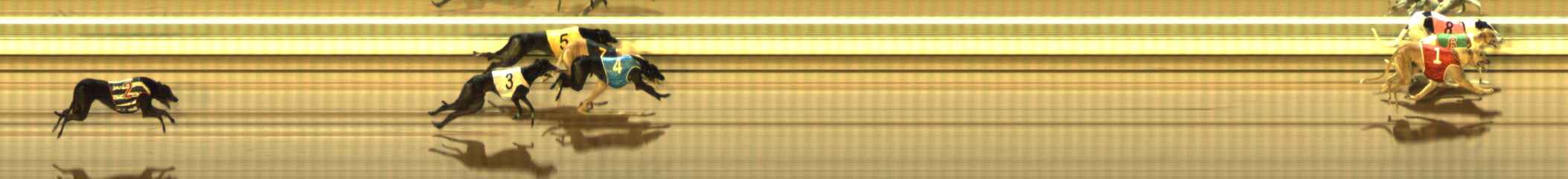 Photo finish for The Meadows Race 7