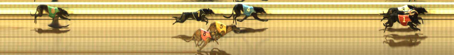 Photo finish for The Meadows Race 8