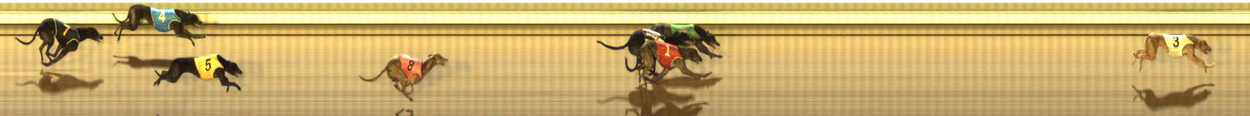 Photo finish for The Meadows Race 9