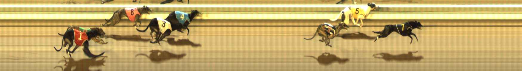 Photo finish for The Meadows Race 10