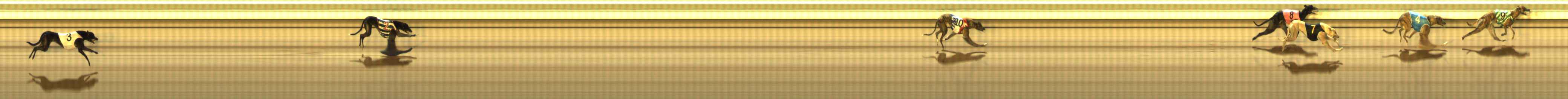 Photo finish for The Meadows Race 11