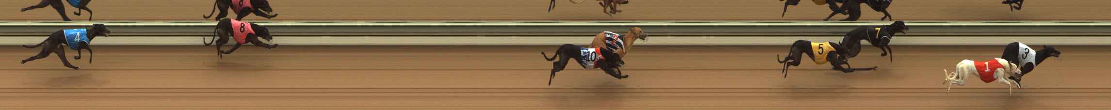 Photo finish for The Meadows Race 2