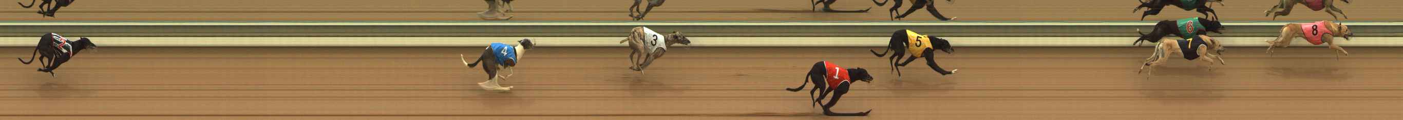Photo finish for The Meadows Race 3