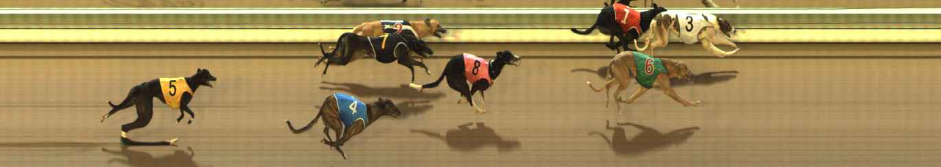 Photo finish for The Meadows Race 6