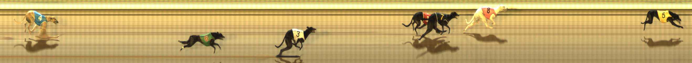 Photo finish for The Meadows Race 7