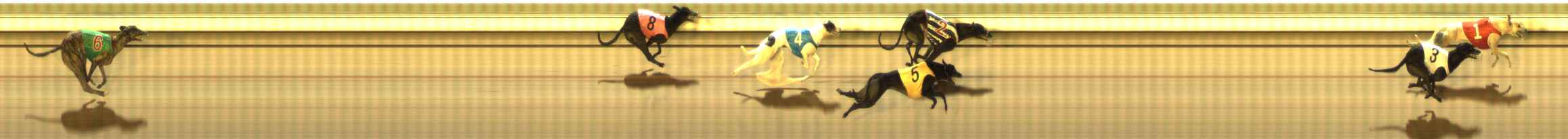 Photo finish for The Meadows Race 8