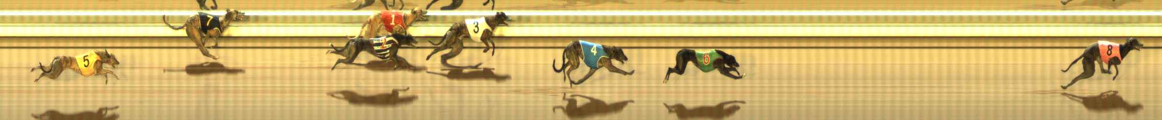 Photo finish for The Meadows Race 9