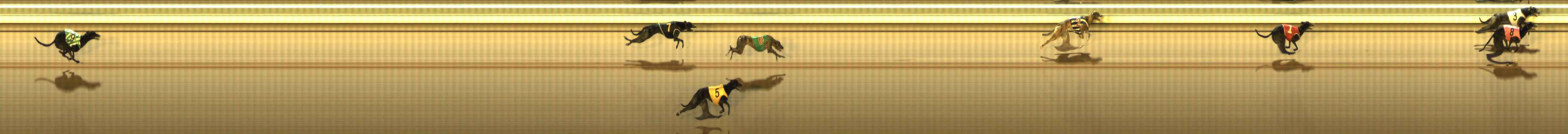 Photo finish for The Meadows Race 10
