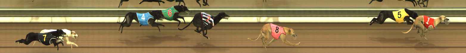 Photo finish for The Meadows Race 1