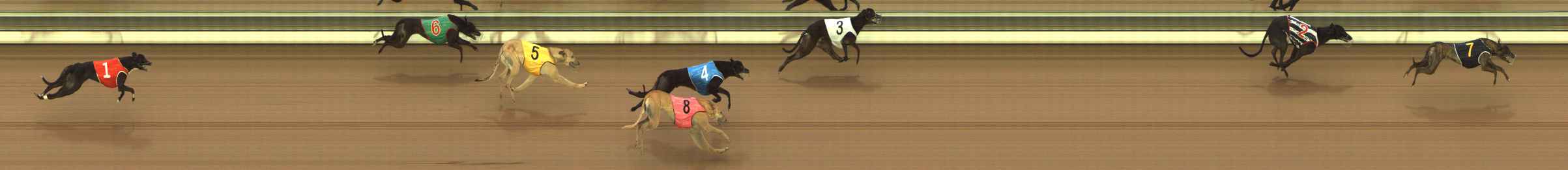 Photo finish for The Meadows Race 3