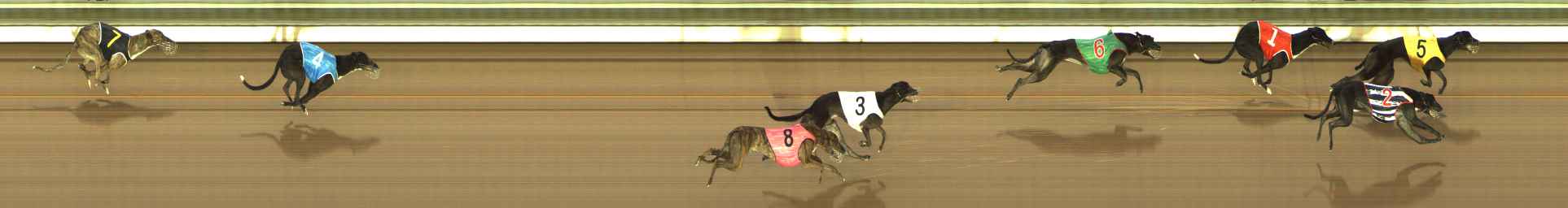 Photo finish for The Meadows Race 5