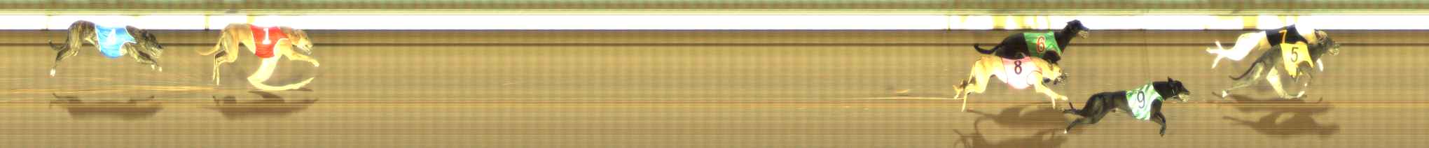 Photo finish for The Meadows Race 6