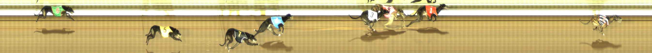 Photo finish for The Meadows Race 7