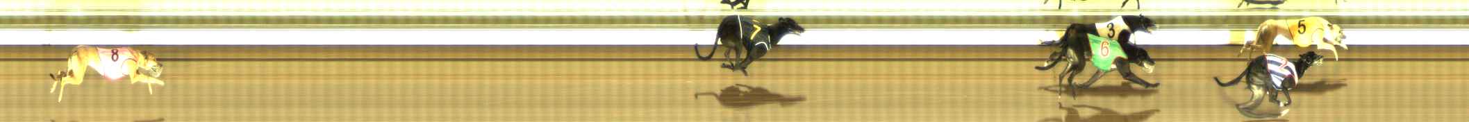 Photo finish for The Meadows Race 8