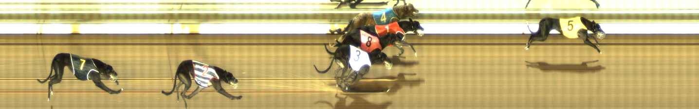 Photo finish for The Meadows Race 9