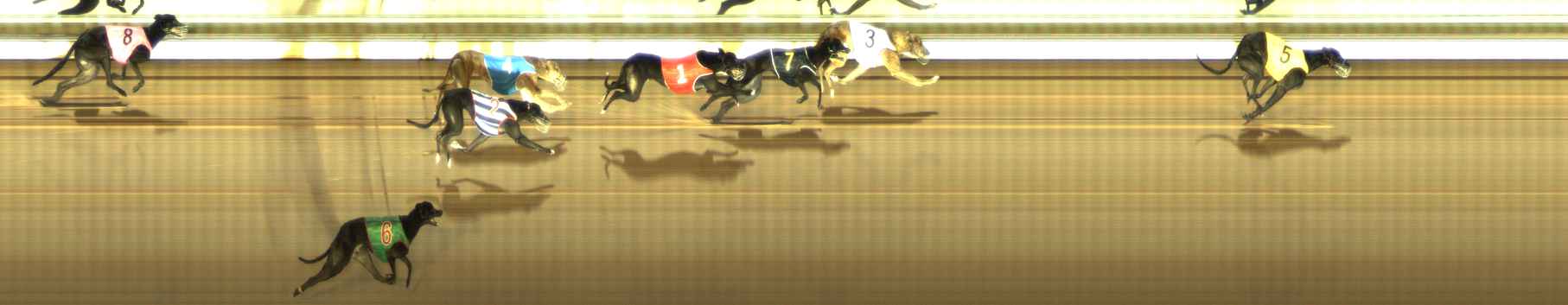 Photo finish for The Meadows Race 10