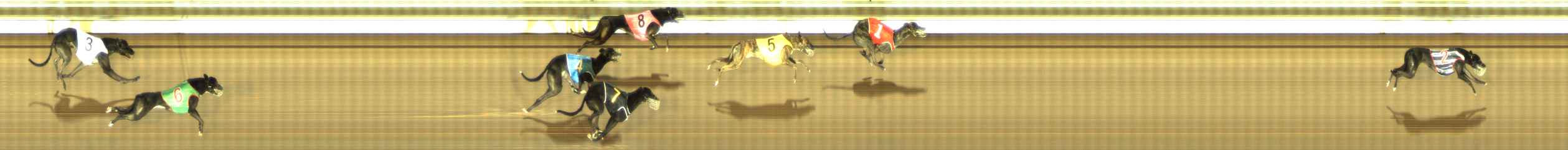 Photo finish for The Meadows Race 11