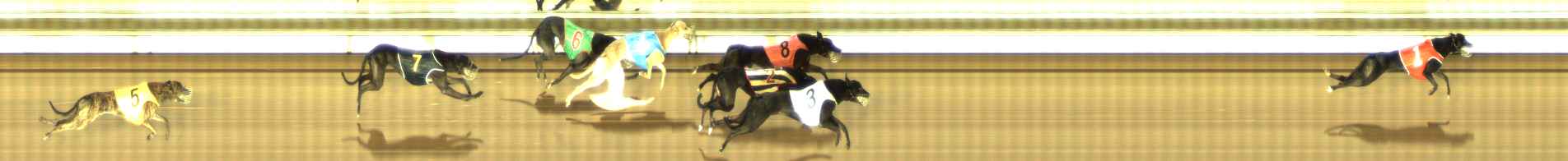 Photo finish for The Meadows Race 12